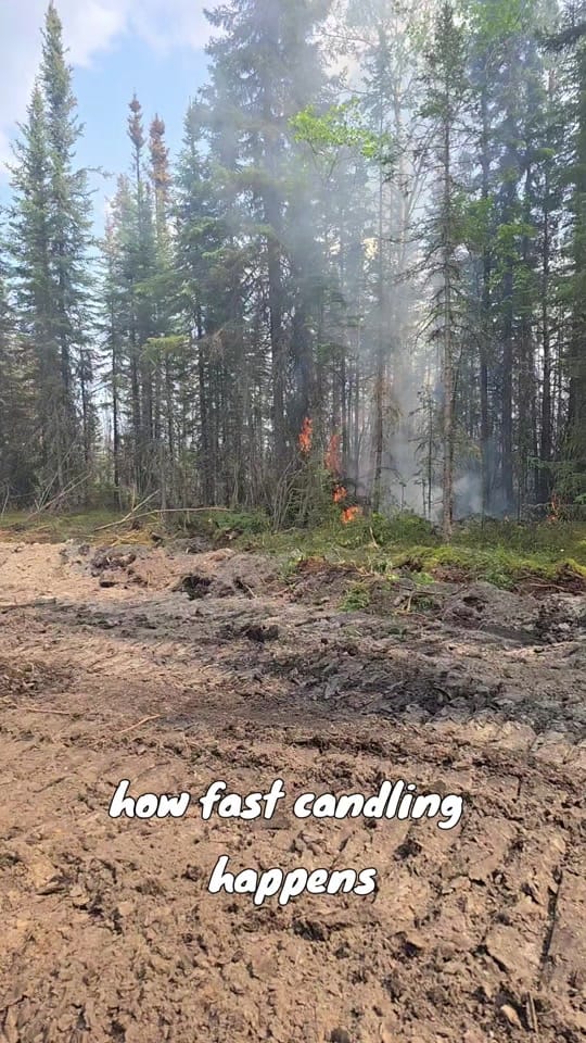 Post 1 by TKvince on TikTok (video)