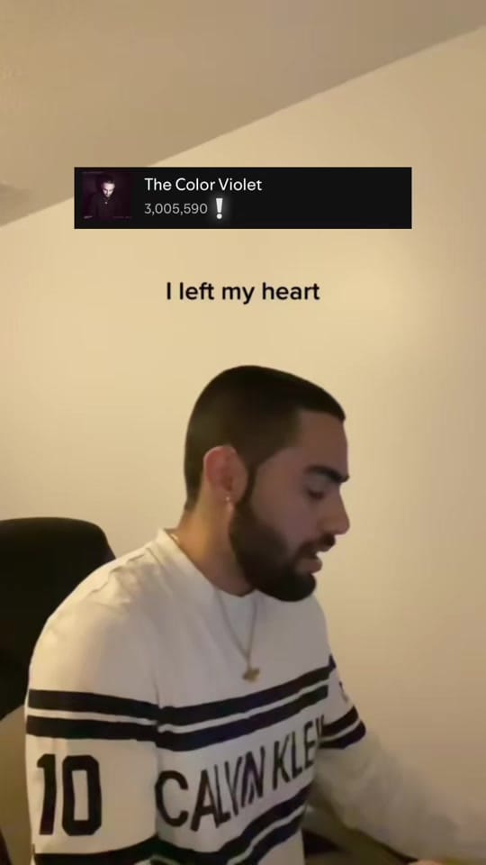 Post 4 by Abtin on TikTok (video)