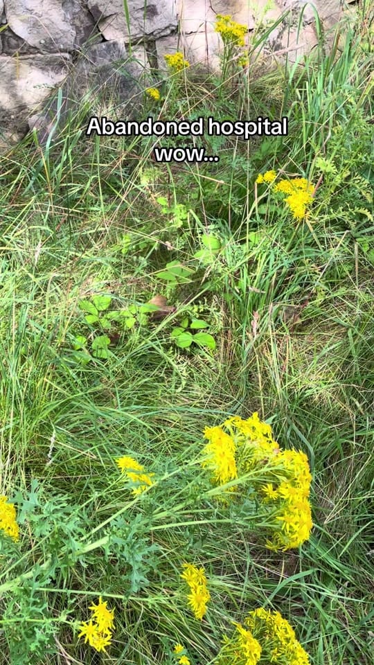 Post 5 by jack.urbex on TikTok (video)