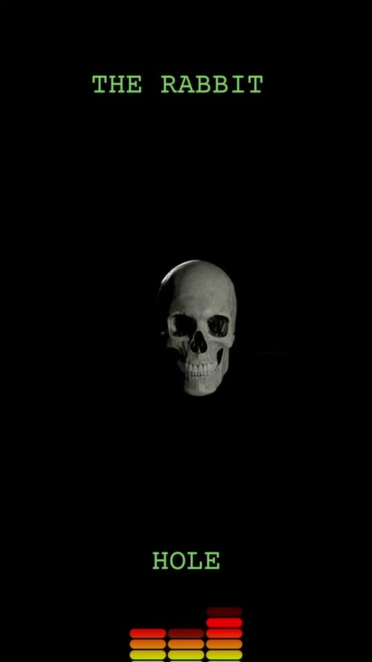 Post 9 by MaxMillion on TikTok (video)