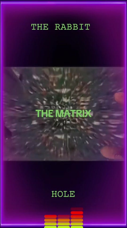 Post 8 by MaxMillion on TikTok (video)