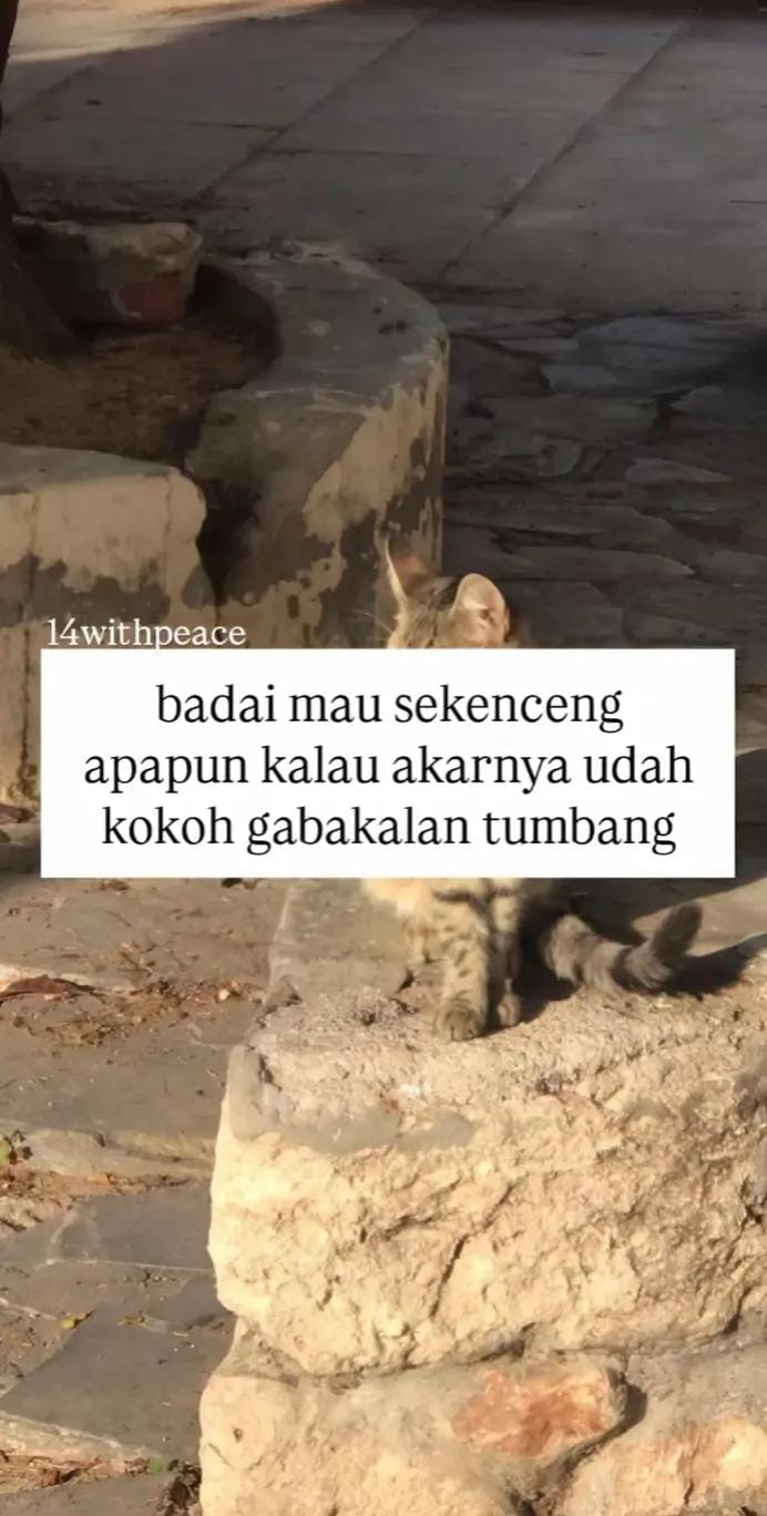 Post 4 by Rock Elmino Gaviria on TikTok (video)