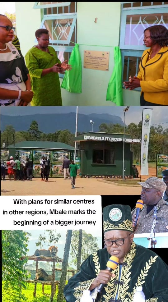 Post 6 by Omukakamu Jones on TikTok (video)
