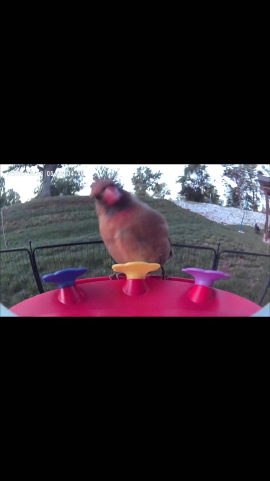 Post 3 by Puddintain💙 on TikTok (video)