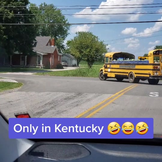 Post 10 by Puddintain💙 on TikTok (video)