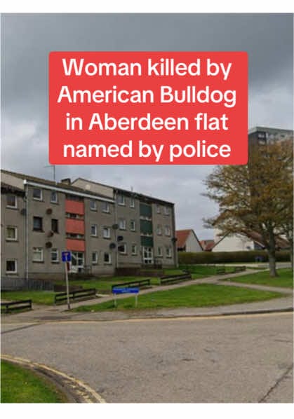 Post 7 by Aberdeen Live on TikTok (video)