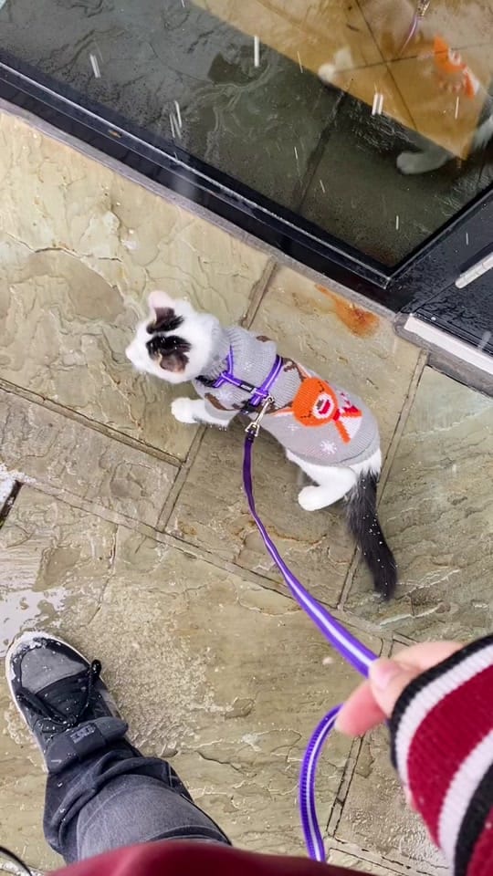 Post 1 by Jae Grant on TikTok (video)
