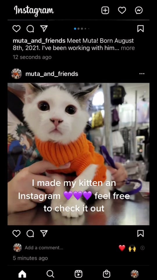 Post 8 by Jae Grant on TikTok (video)