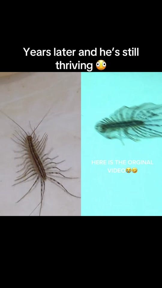 Post 2 by Kodathekidd on TikTok (video)