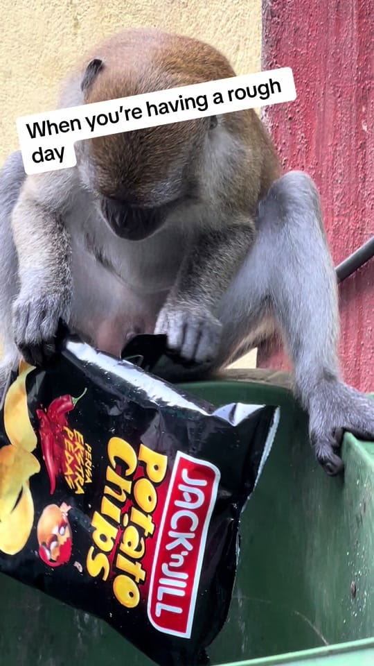 Post 6 by bulemike on TikTok (video)