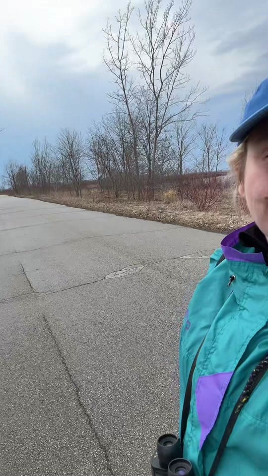 Post 3 by Emily Richardson on TikTok (video)