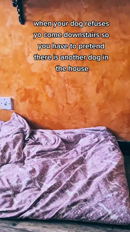 Post 9 by Sophie.SantosX on TikTok (video)