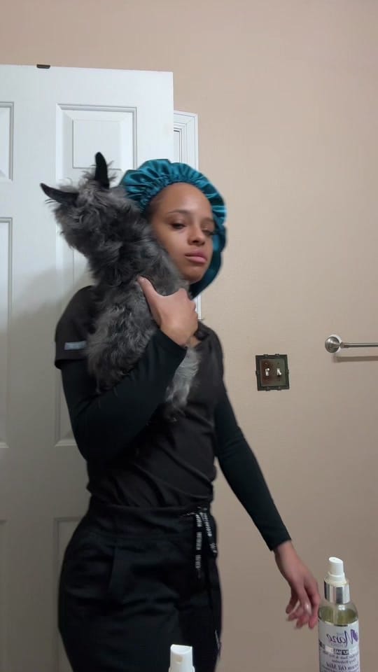 Post 5 by Nae on TikTok (video)