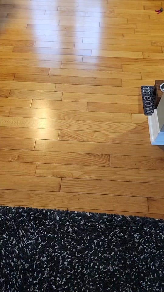 Post 10 by tg_phelan on TikTok (video)