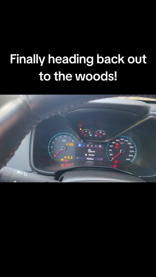 Post 2 by tg_phelan on TikTok (video)