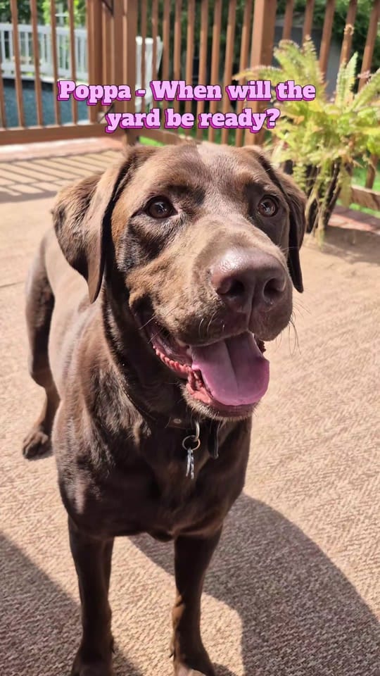 Post 7 by Sunny the Sundance Kid on TikTok (video)