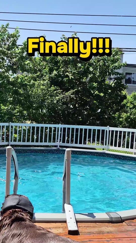 Post 5 by Sunny the Sundance Kid on TikTok (video)