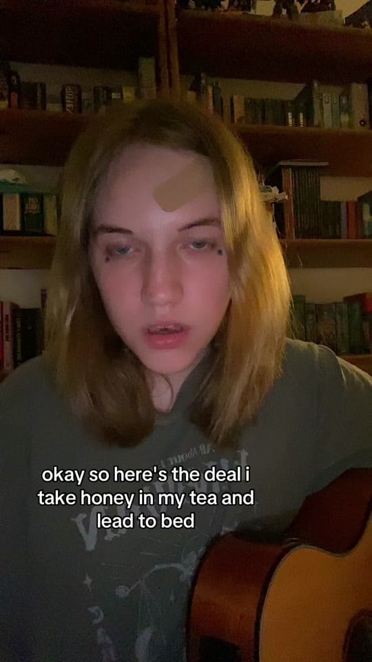 Post 5 by Amélie Farren on TikTok (video)
