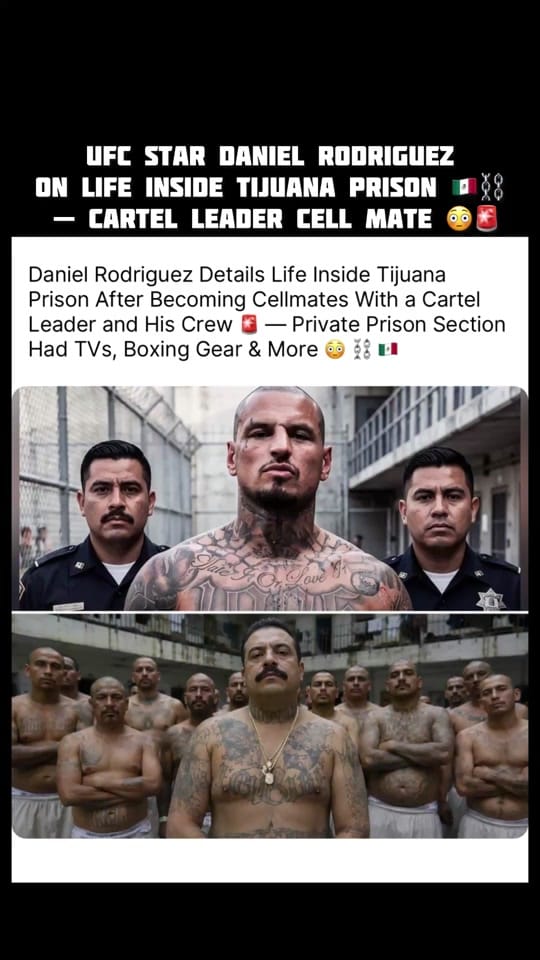Post 7 by MexicanWorldStarFoo on TikTok (video)