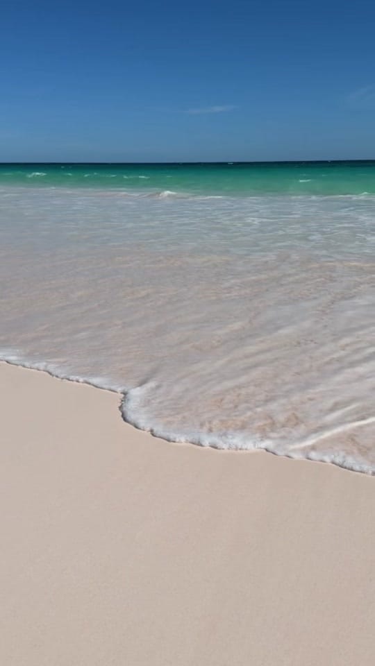 Post 4 by Melina Farahani on TikTok (video)