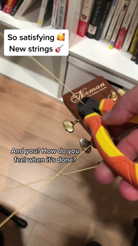 Post 2 by anthonylovison on TikTok (video)