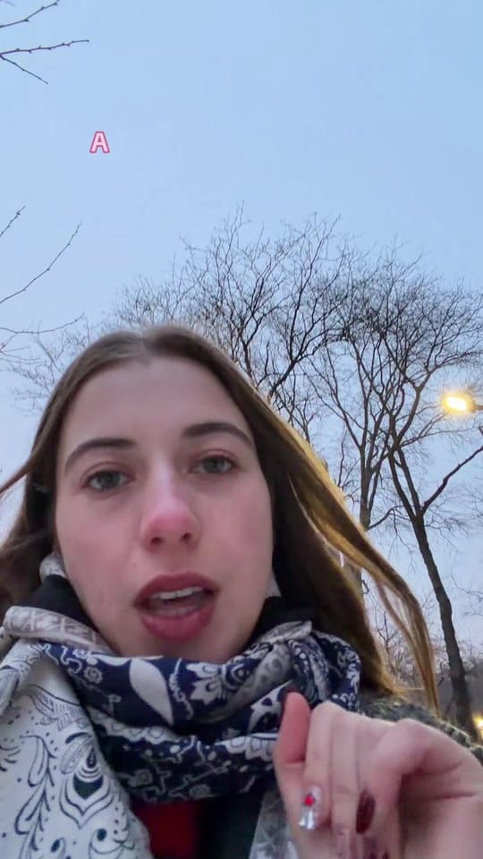 Post 5 by Elžbieta Chernyak on TikTok (video)