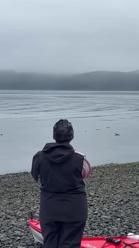 Post 3 by orcacamp on TikTok (video)
