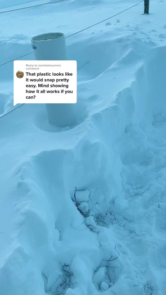 Post 9 by Canada Horse Podcast on TikTok (video)