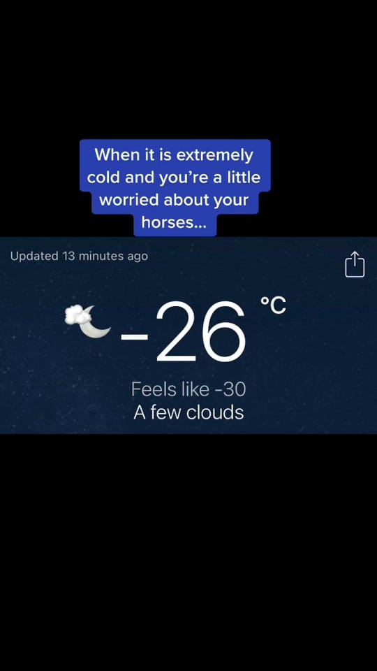Post 8 by Canada Horse Podcast on TikTok (video)