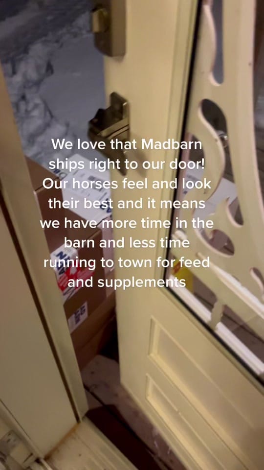 Post 5 by Canada Horse Podcast on TikTok (video)