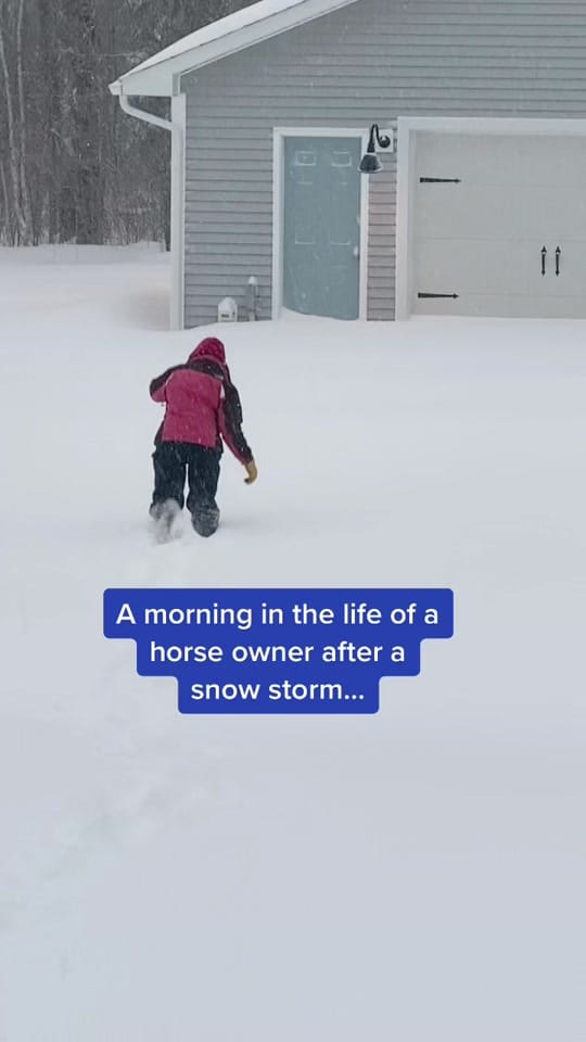 Post 10 by Canada Horse Podcast on TikTok (video)