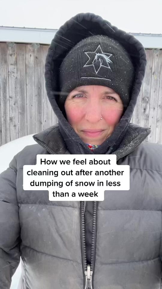 Post 2 by Canada Horse Podcast on TikTok (video)