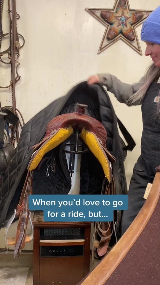 Post 4 by Canada Horse Podcast on TikTok (video)