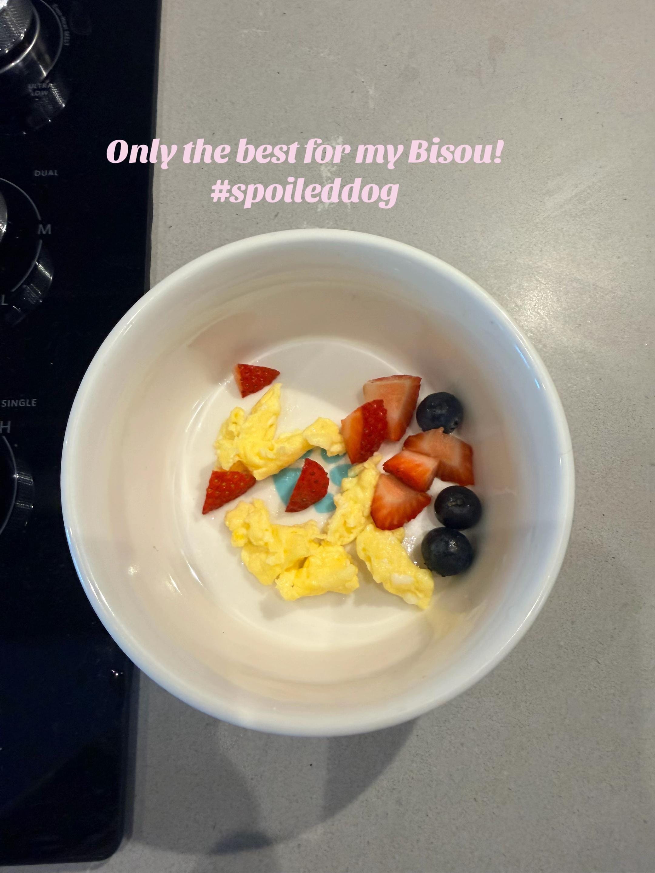 Post 2 by LaVieDou🌺🇱🇨🇨🇦 & Bisou🐶✨ on TikTok (video)