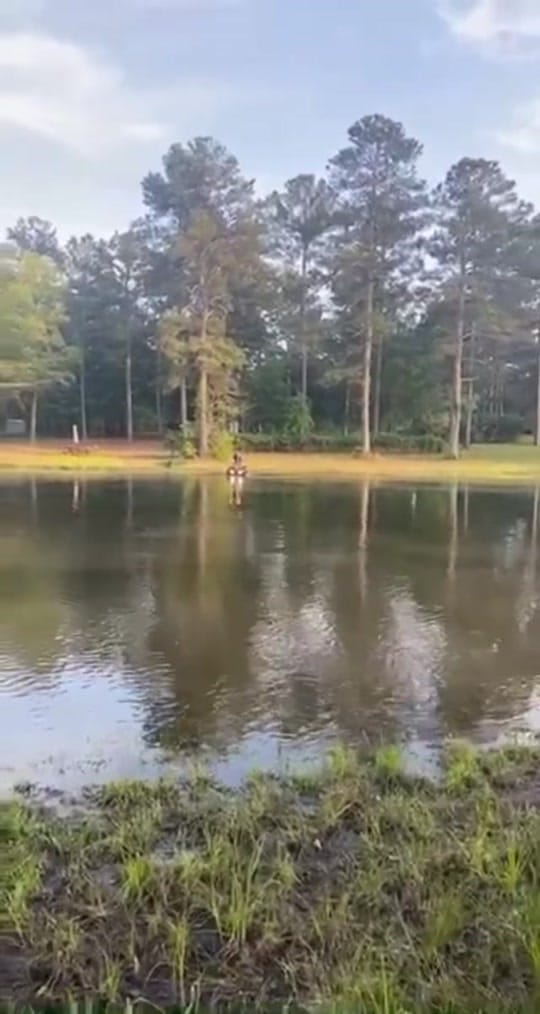 Post 2 by Hondude on TikTok (video)