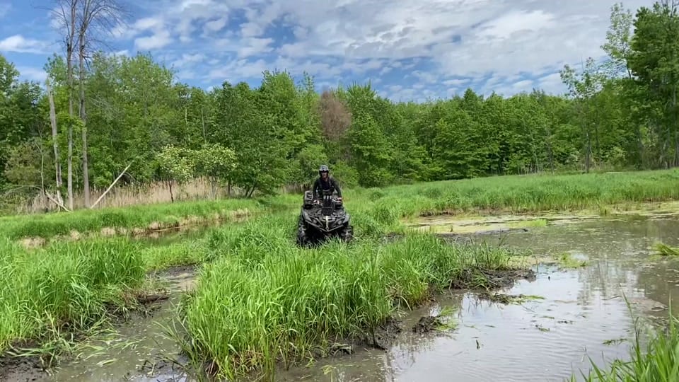 Post 8 by Hondude on TikTok (video)