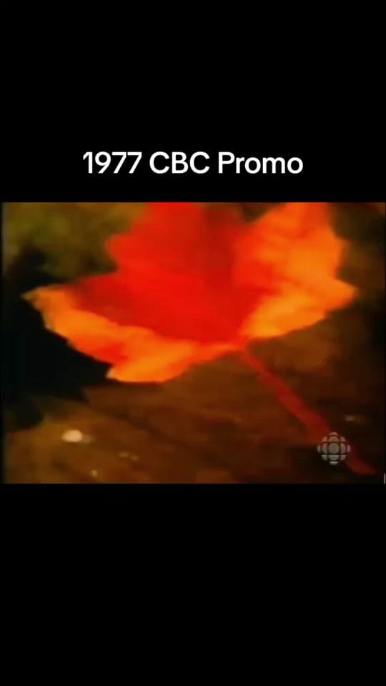 Post 4 by Sonic More Retro on TikTok (video)