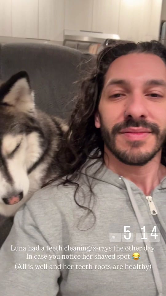 Post 3 by lunahuskycorgi on TikTok (video)