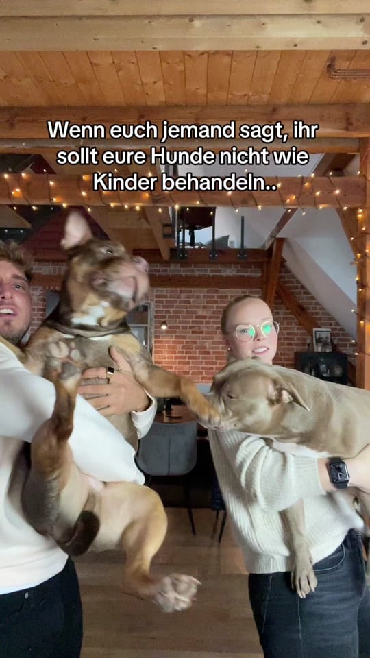 Post 6 by Honey & Bo on TikTok (video)