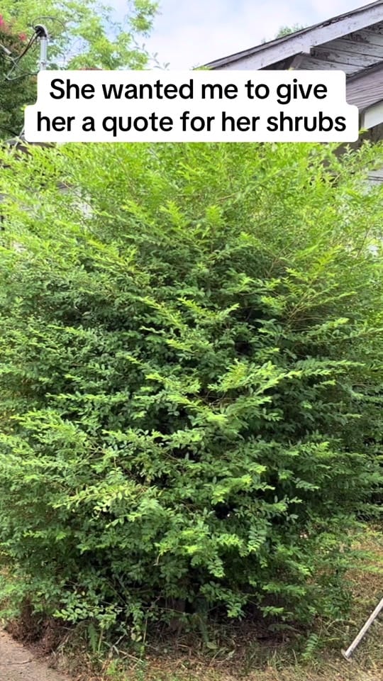 Post 10 by DRAKE LAWN CARE on TikTok (video)