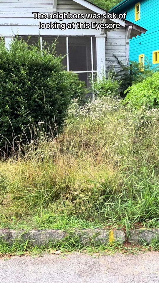 Post 9 by DRAKE LAWN CARE on TikTok (video)