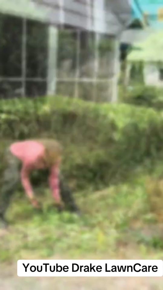Post 8 by DRAKE LAWN CARE on TikTok (video)