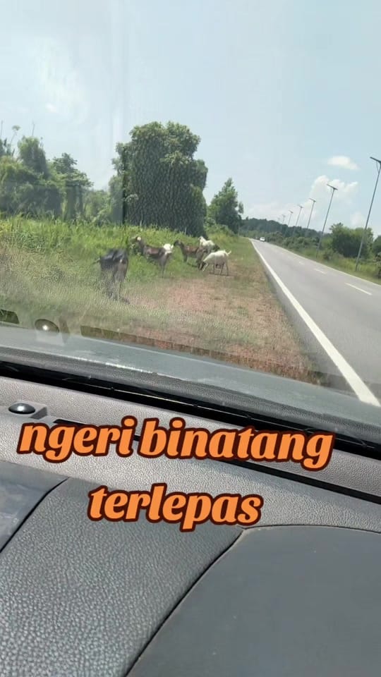 Post 2 by ABG TRUCK on TikTok (video)