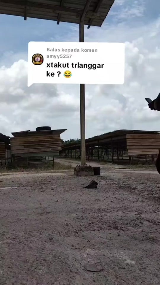 Post 8 by ABG TRUCK on TikTok (video)