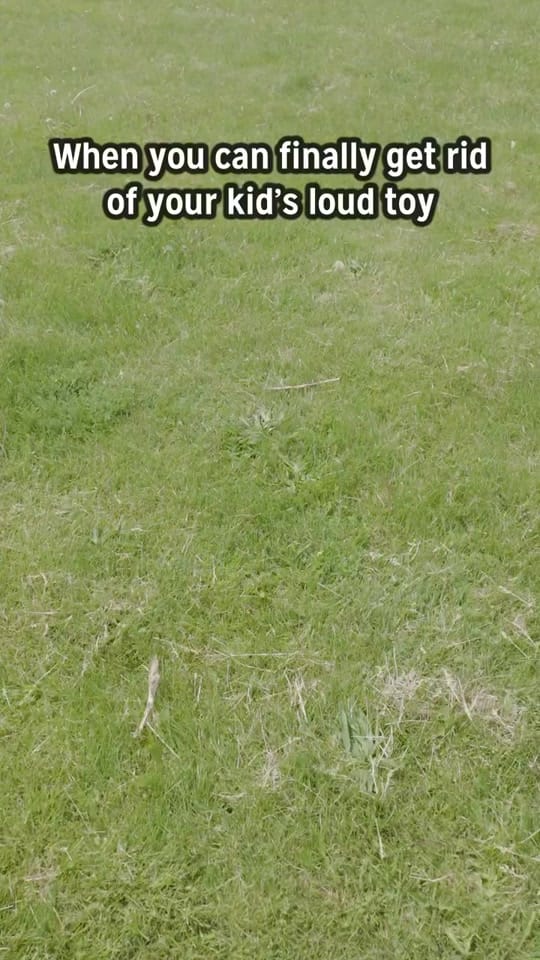 Post 1 by Drewbehm on TikTok (video)