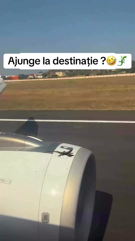 Post 3 by 🐲BOGDAN 🅱️🅿️ 🚀 on TikTok (video)