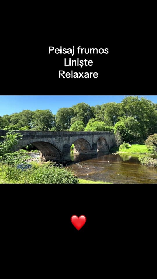 Post 6 by 🐲BOGDAN 🅱️🅿️ 🚀 on TikTok (video)