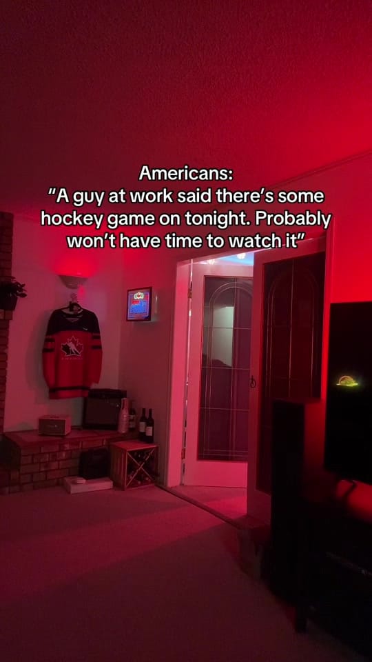 Post 5 by Life of a Canucks Fan on TikTok (video)