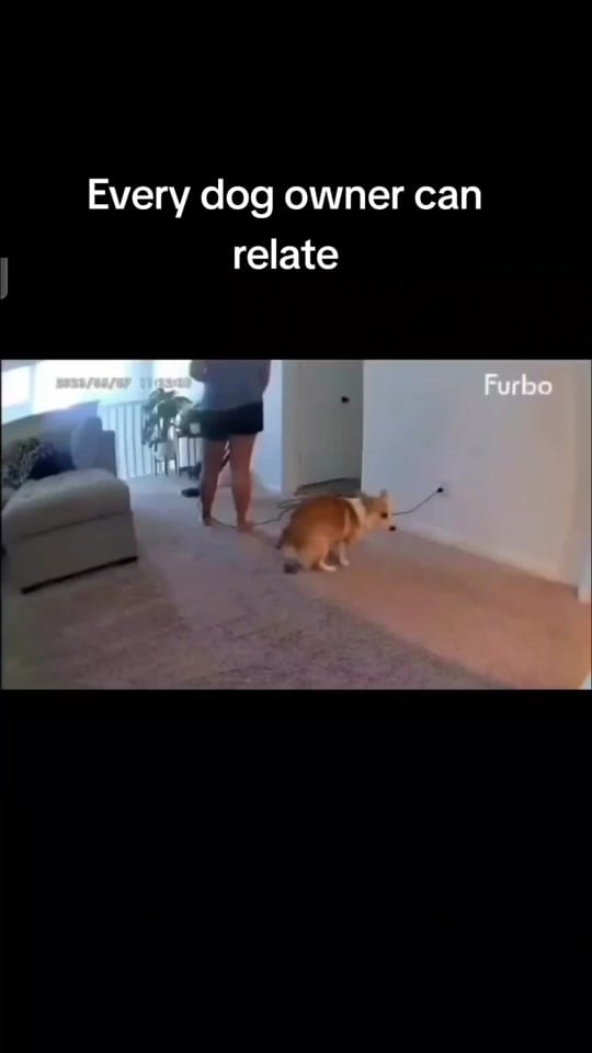 Post 5 by Albert Drgonzo Lee on TikTok (video)