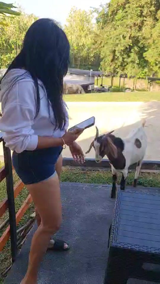 Post 2 by Celebrity.Hairstylist on TikTok (video)